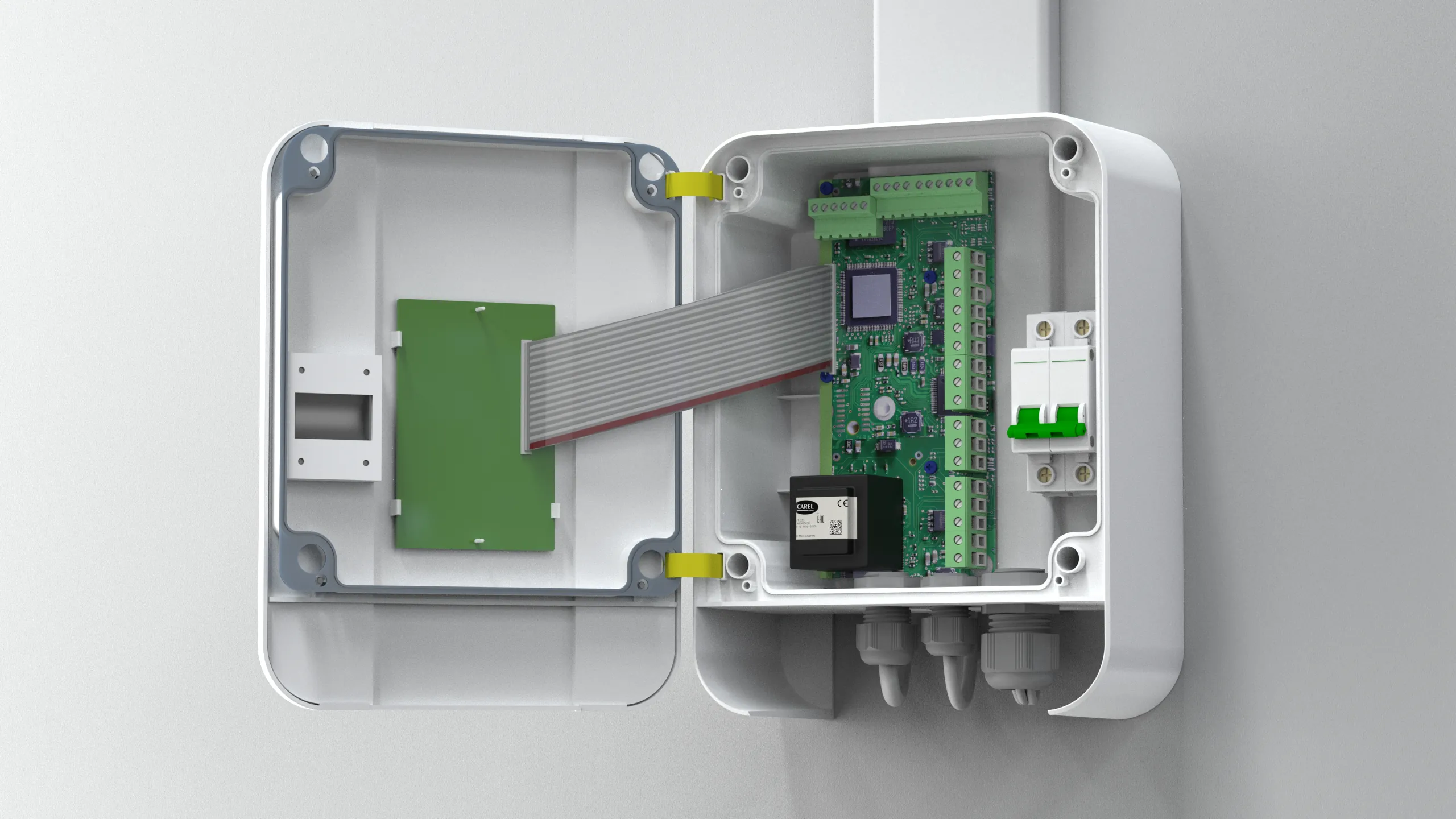 MasterCella evolution detail